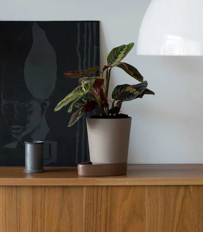 Sip Plant Pot - Image 4